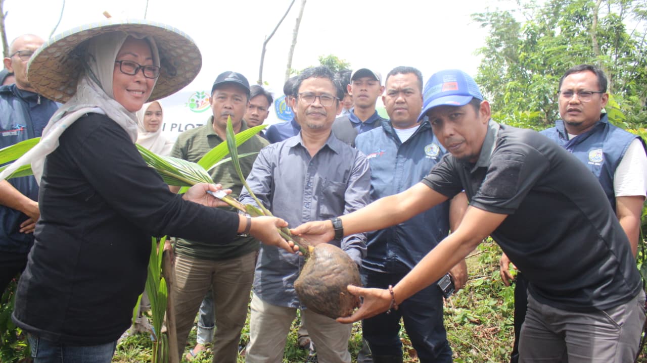 You are currently viewing USBR Lakukan Penanaman Kelapa Hybrida Hibah dari Kementerian Pertanian